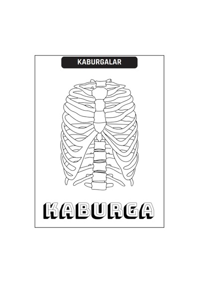 Çocuklar İçin Anatomi Boyama Kitap Seti 2 Süper Kitap