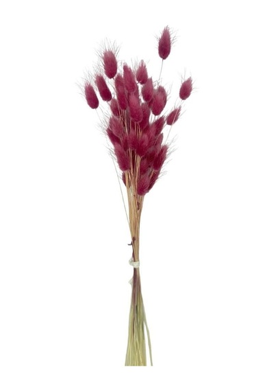 Kuru Çiçek Doğal Bordo Açık Pamuk Otu 10gram 1. Kalite Şoklanmış Bozulmaz
