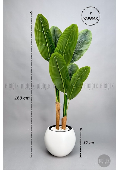 Biçiçek Yapay Starli̇ce 160 Cm 7 Yapraklı Beyaz Küre Saksıda
