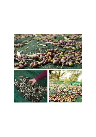 6x8 Metre Zeytin Sergisi Zeytin Toplama Filesi Fındık Fıstık Örtüsü Gölgelik Dut Meyve Sergisi Taban Örtü