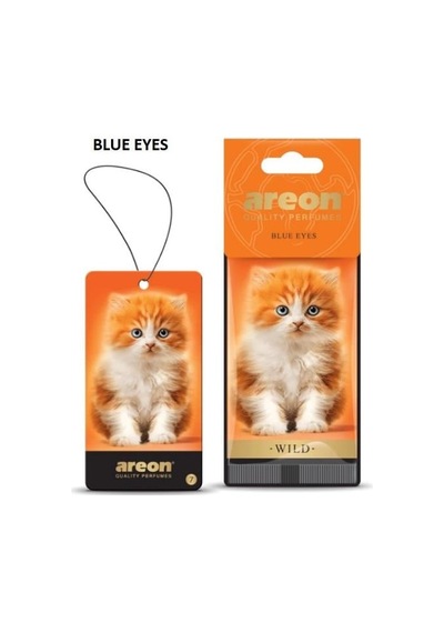 Areon Blue Eyes Koku Asma Kağıt Wıld