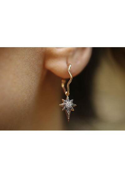 Reis Kuyumculuk T2049 North  Earring