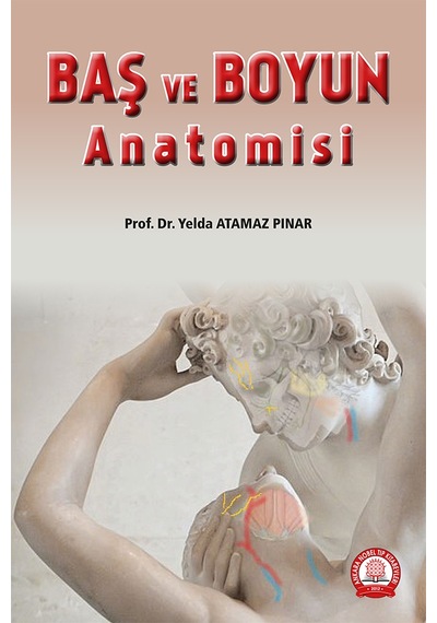 Baş Ve Boyun Anatomisi