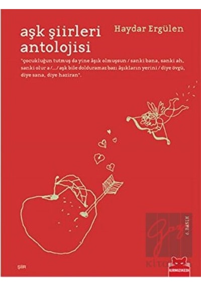 Aşk Şiirleri Antolojisi - Haydar Ergülen - Kırmızı Kedi