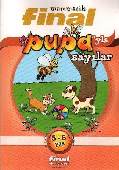 Matematik: Pupa'yla Sayılar- Final Yayıncılık