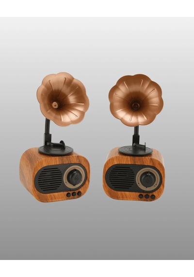 Ers Taşınabilir Mini Retro Radyo Bluetooth Hoparlör Usb Sd Aux Destekli Yeni Nesil