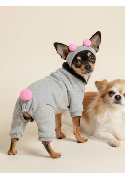 Ponpon Şeker Köpek Tulumu & Bere Takımı Şardonlu Polar Kumaş Küçük Irk Köpekler İçin Tüy Dökülmesini Gri M