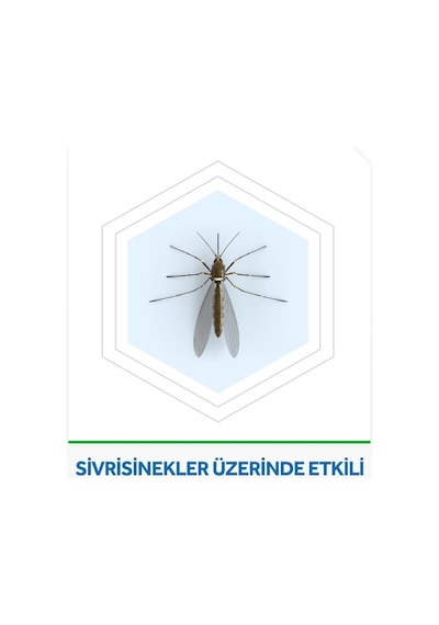 Raid Elektro Likit Cihaz Ve 2 Yedek, 60 Gece Sivrisineklere Karşı