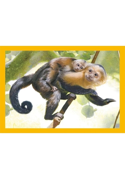 Clementoni Baby Cuddles Puzzle 4 İn1