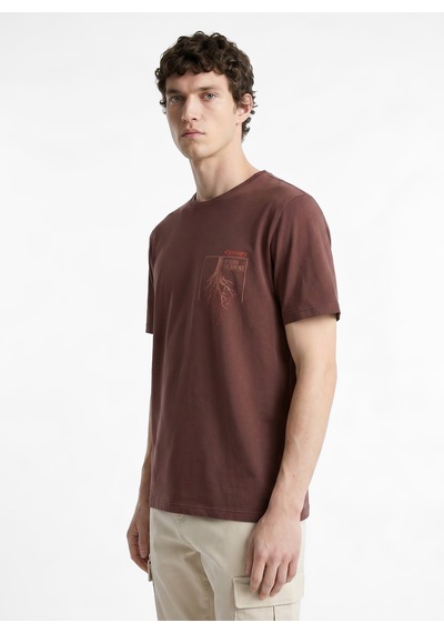 Discovery Expedition Kahverengi Unisex Bisiklet Yaka Baskılı T-shirt D6su-tst3101 Kahve