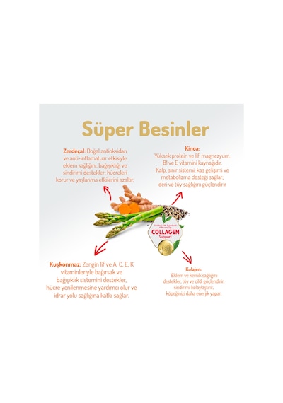 Kolajen Destekli Hipoalerjenik Somonlu Yetişkin Köpek Maması 15kg