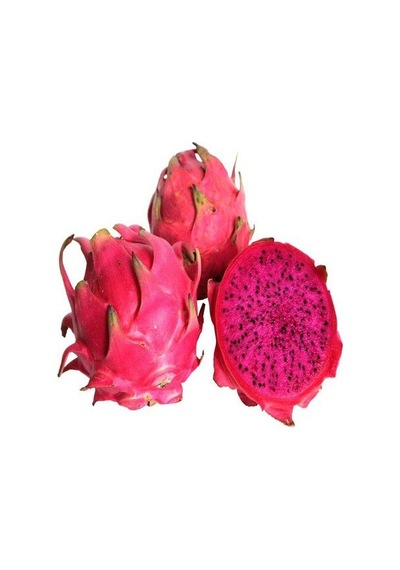 Pitaya Ağacı Tohumu Kırmızı Pitaya Tohum 65 Tohum+ Tohum