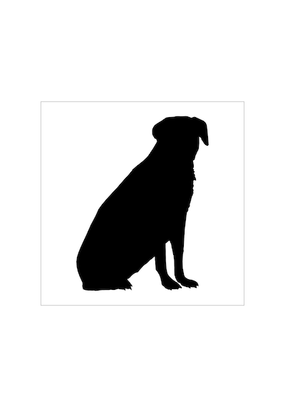 Köpek Folyo Sticker Derstv895 30cm Uzunluk Siyah