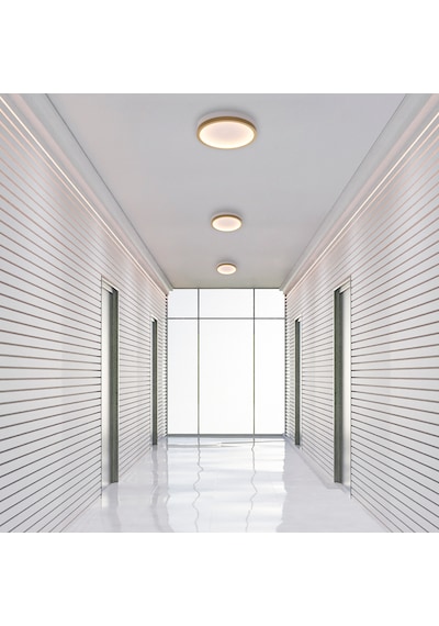 Plafonia Tavan Plafonyer Led Avize 20 Cm Gold