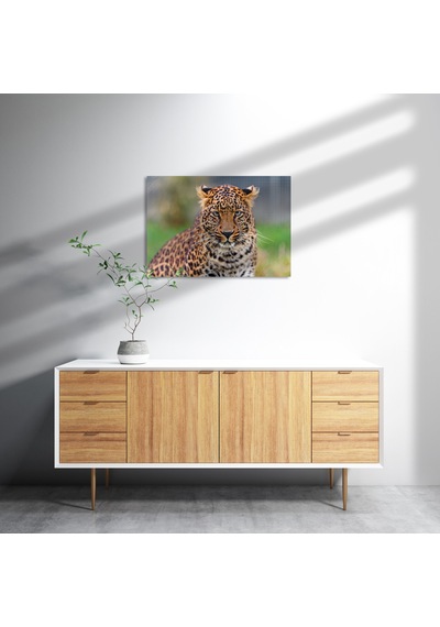 Cakasepetim Genç Leopar Ahşap Mdf Tablo
