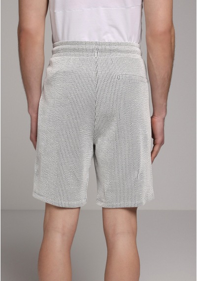 Colin's Colins Regular Fit Orta Bel Çizgili Erkek Gri Şort Cl1080260 Q1.v2 Gra