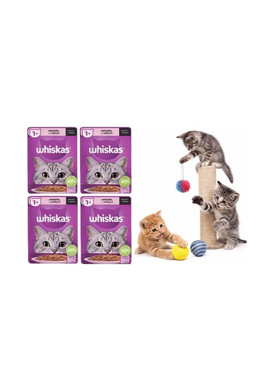 Whiskas Somonlu Pouch Kedi Maması 85 Gr 6 Adet