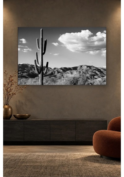 Fida Siyah Beyaz Saguaro Kaktüsü Ve Bulutlar Canvas Tablo Beyaz - Siyah