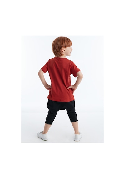 Denokids Hi Ponçik Erkek Çocuk Şort Takım Çok Renkli