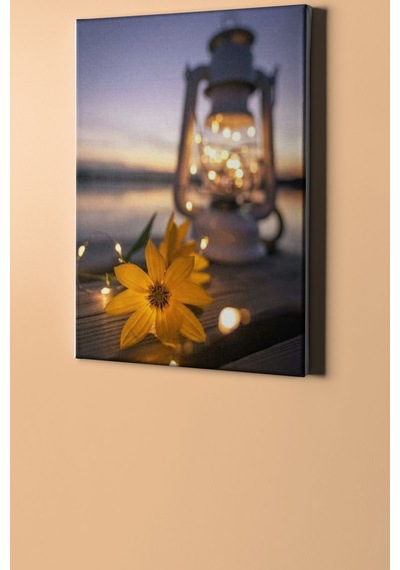 Webstyle Sayılarla Boyama Seti Kasnaklı Çiçek Ve Fener 50 X 65 Cm