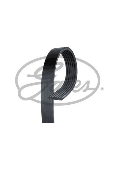 GATES 6PK1050HD Kanallı Kayış Ivecorenault Trucks Magnum