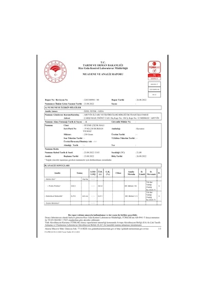 Ballivane Artvin Yayla Çiçek Balı 1 KG