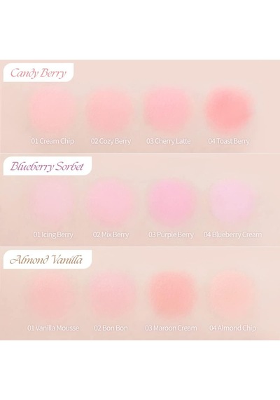 Karıştırılabilir Renk Tonlarına Sahip 4lü Allık Blending Mood Cheek 08 Blueberry Sorbet Çok Renkli