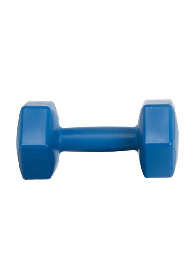 1 Kg Dambıl Ağırlık 1 Kg 1 Adet