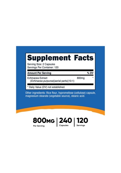 Nutricost Echinacea 800mg, 240 Capsules - Vegetarian Caps, No... Aromasız