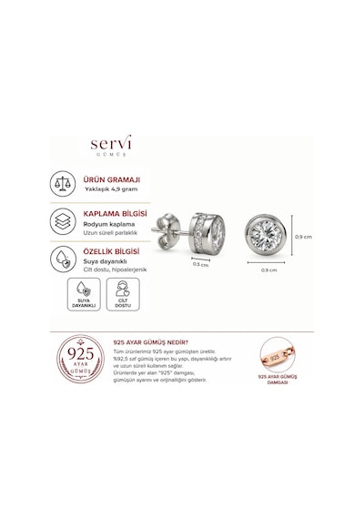 Servi 925 Ayar Gümüş Yan Şerit Taşlı Tektaş Küpe-548