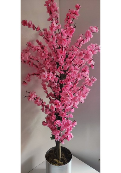 Rüzgar Çiçekcilik 145 Cm Pembe Metal Saksıda Bahardali Pembe