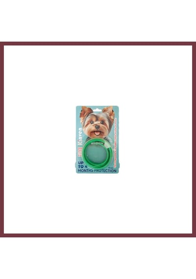 Storeşahin Bit Pire Uzaklaştırıcı Köpek Tasması Yeşil 60 Cm Shn0720