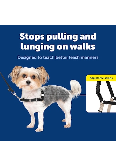 Easy Walk No-pull Köpek Göğüs Tasması, Çekmeyi Önlemeye Yardımcı, Kontrolü Ele Alın Ve Tasmayla Siyah/gümüş