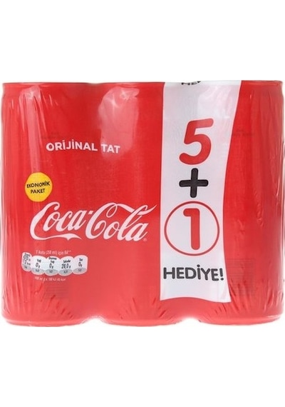 Coca-Cola Kutu 6 x 250 ML