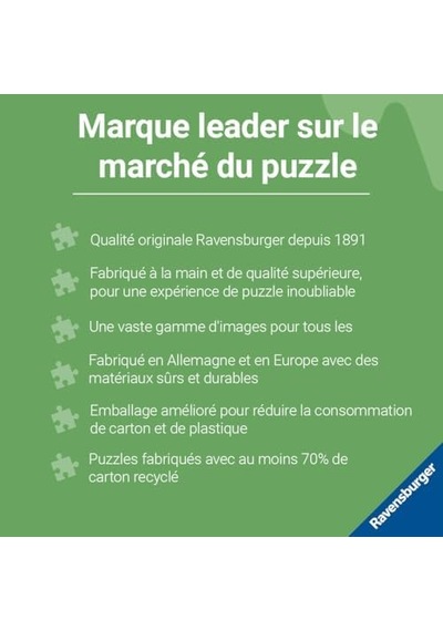 736 Parça Krypt- Puzzle