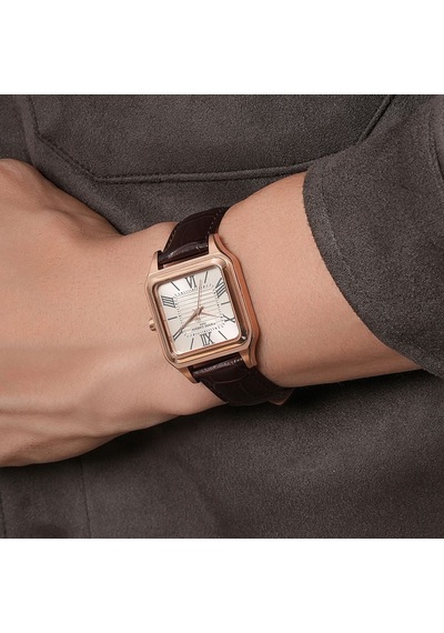 Pierre Cardin Cf.1006.lg Kol Saati Metalik