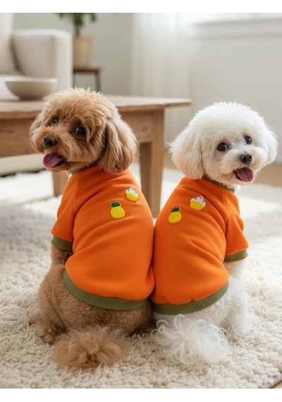 Kemique Ice Cream And Pineapple Turuncu Haki Köpekler İçin Polar Sweatshirt