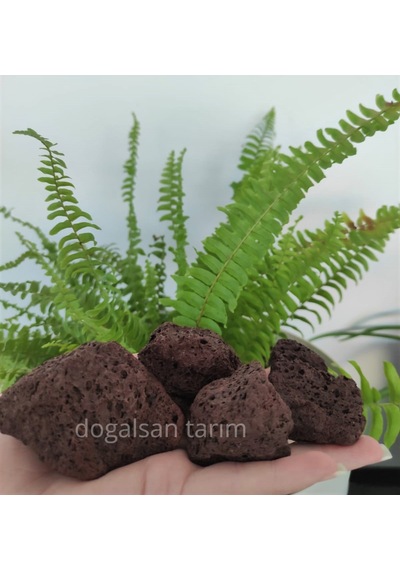 1 Kg 5-10 Cm Akvaryum Taşı Teraryum Taşı Filtre Taş Pomza Taşı