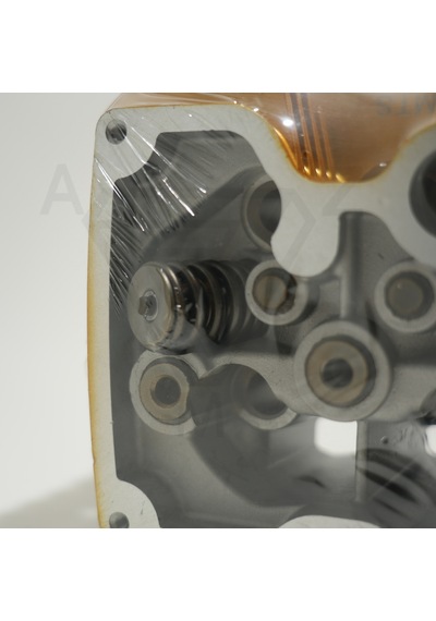 Cg 125 Üst Kapak Gold Çita 001