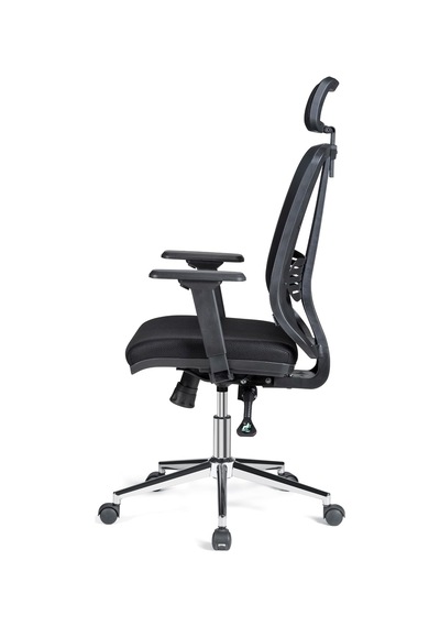 Velora Soft Ergonomik Ofis Sandalyesi, Fileli, Krom Ayaklı, Ayarlanabilir Başlıklı Çok Renkli Velora Soft Ergonomik Ofis Sandalyesi, Fileli, Krom Ayaklı, Ayarlanabilir Başlıklı Çok Renkli