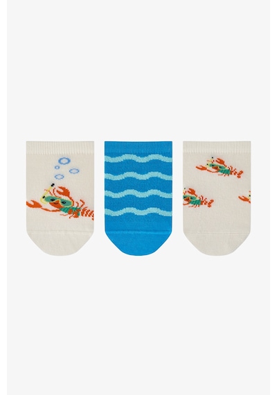 Penti Erkek Çocuk Snorkel Lobster 3lü Patik Çorap Mavi