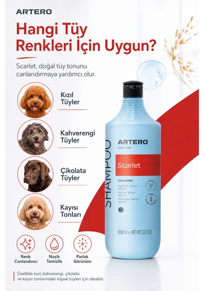 Artero Scarlet Poodle Irkına Özel Renk Arttırıcı Şampuan 650 Ml