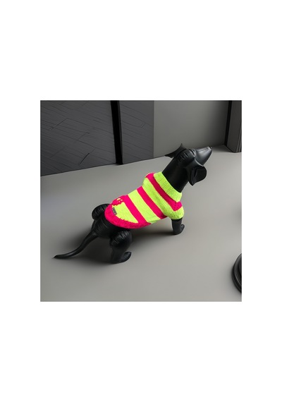 Kedi Ve Köpek İçin Neon Yeşil Pembe Hırka