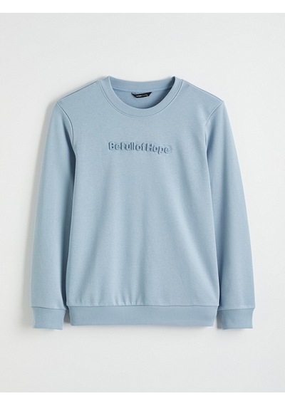 Lcwaıkıkı Classic Mavi Bisiklet Yaka Baskılı Erkek Sweatshirt
