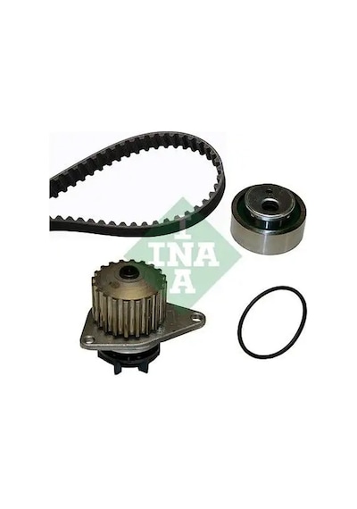 Citroen Saxo Triger Seti + Devirdaim 1.4 1996-2003 Ina 530001630