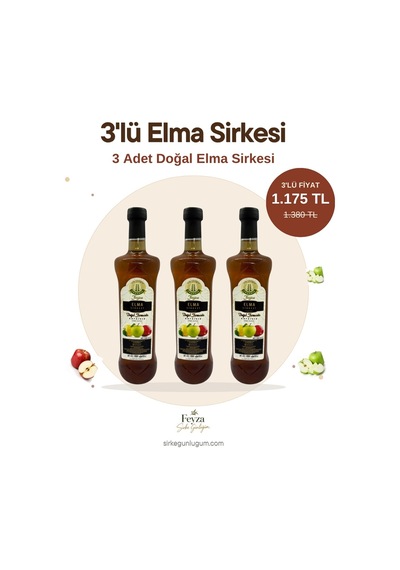 Sirke Günlüğüm 3'lü Elma Sirkesi