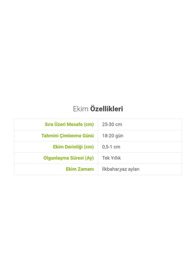Bykurt Sunagri Mor Reyhan Tohumu - Aromatik Mor Renkli Bahçeler İçin Çekici Ve Lezzetli Mor Reyhan Tohumu Bykurt Sunagri Mor Reyhan Tohumu - Aromatik Mor Renkli Bahçeler İçin Çekici Ve Lezzetli Mor Reyhan Tohumu