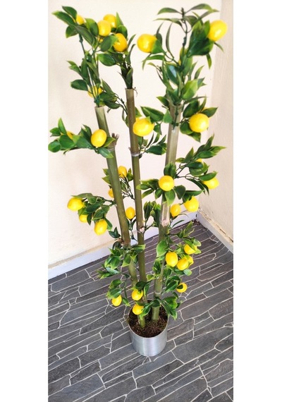 Rüzgar Çiçekcilik 1 Metre Limon Mandalina Nar Set Limon