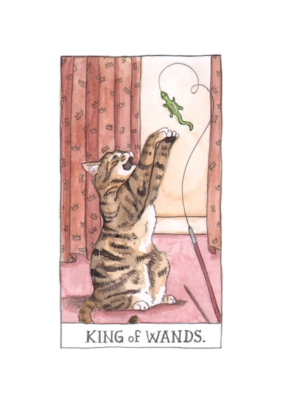 Cat Tarot 78 Cards - Kedi Tarot Kart Destesi