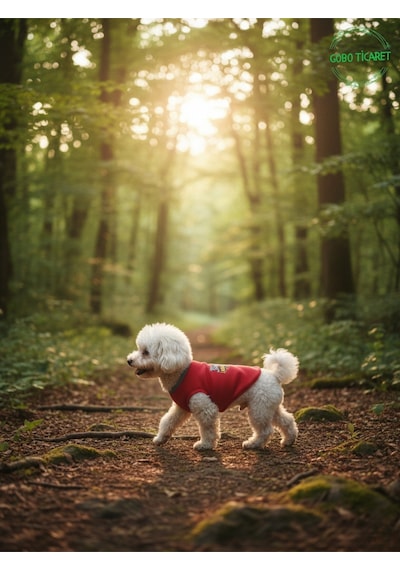 Kırmızı Yürüyen Karizma Yazılı Kedi Ve Köpek Kıyafeti Tişörtü Elbisesi Xsmall/xs/beden 0